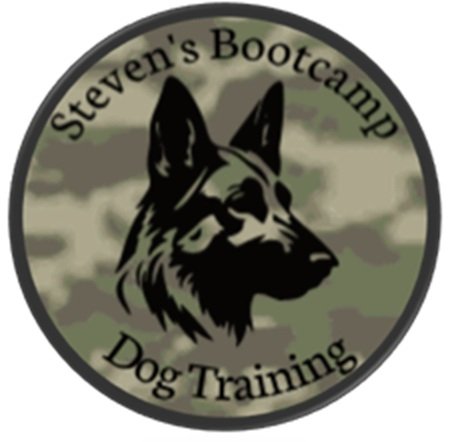 Steven's Bootcamp Dog Training Indianapolis