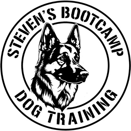 Steven's Bootcamp Dog Training Indianapolis